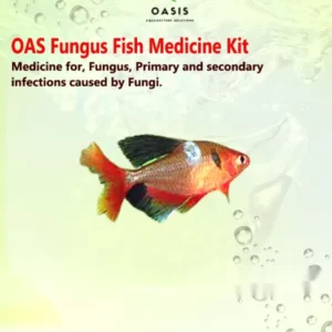 fungus fish medicine kit