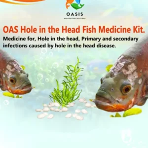 holeinthehead fish medicine kit
