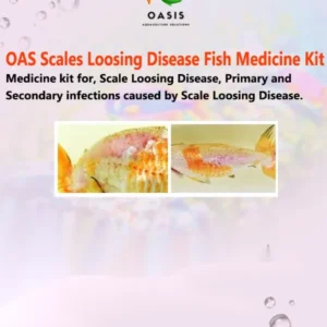 Scale loosing fish medicine kit