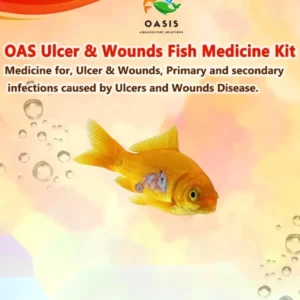 Ulcer and wounds fish medicine kit