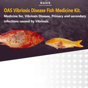 Vibriosis disease fish medicine kit