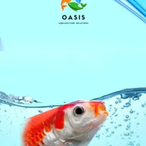 floating dosease fish medicine kit